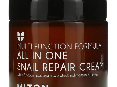 Mizon All In One Snail Repair Cream 75g Hot on Sale