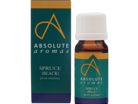 Absolute Aromas Black Spruce Essential Oil 0.33 Fl. Oz. Online now