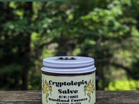 Cryptolepis Salve Online now