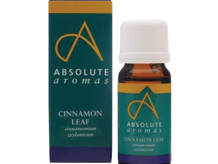 Absolute Aromas Cinnamon Leaf Essential Oil 0.33 Fl. Oz. For Sale