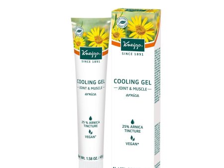 Kneipp Cooling Joint & Muscle Gel 1.58 Oz. For Cheap