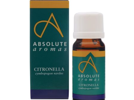 Absolute Aromas Citronella Essential Oil 0.33 Fl. Oz. Online now