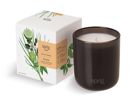 Sprig by Kohler Scented Candle, Recharge, 8 oz For Sale