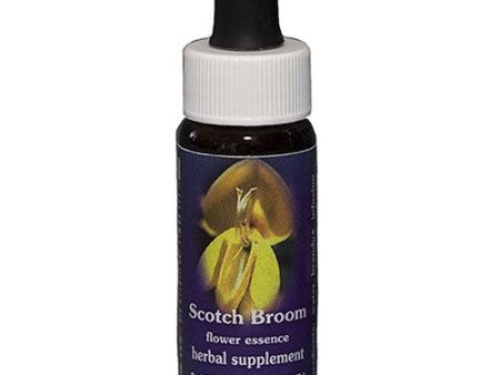 Flower Essence Services - Scotch Broom Flower Essence - 0.25 oz. Supply