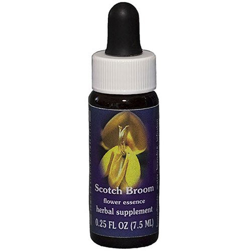 Flower Essence Services - Scotch Broom Flower Essence - 0.25 oz. Supply