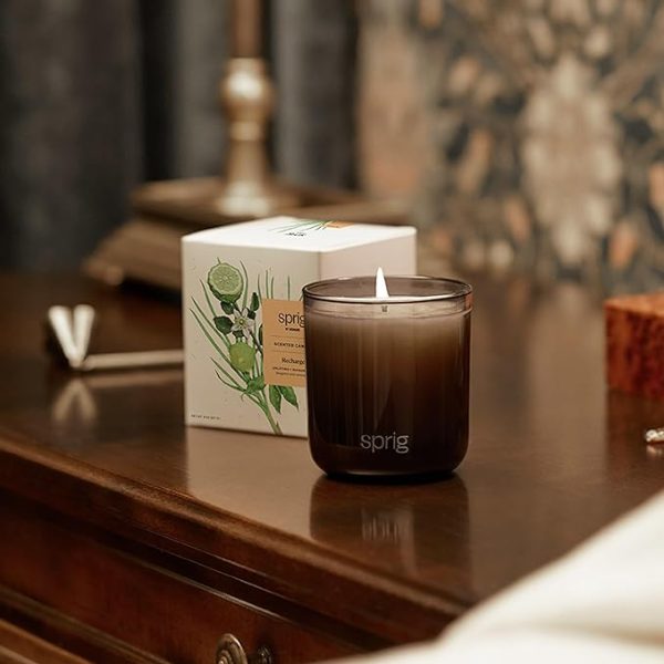 Sprig by Kohler Scented Candle, Recharge, 8 oz For Sale