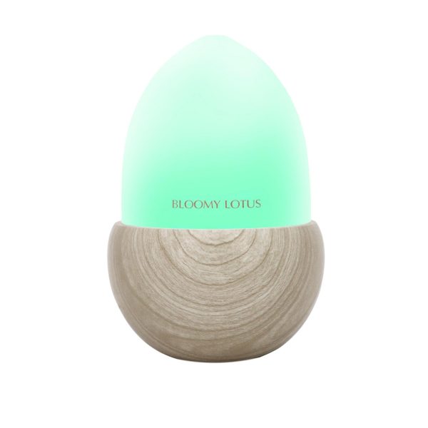 Bloomy Lotus Petite Acorn Ultrasonic Aroma Diffuser For Sale