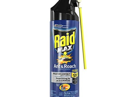 Raid Max roach insect killer aerosol spray on bugs - 14.5 oz Cheap