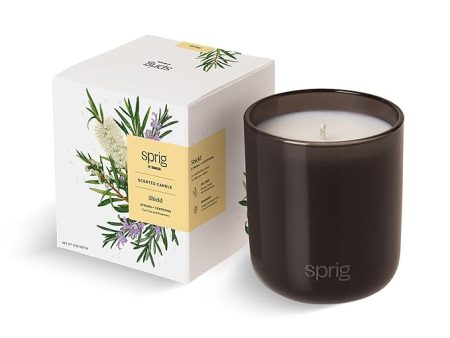 Sprig by Kohler Scented Candle, Shield, 8 oz Online