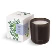 Sprig by Kohler Scented Candle, Breathe, 8 oz Online Sale