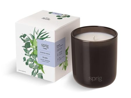 Sprig by Kohler Scented Candle, Breathe, 8 oz Online Sale