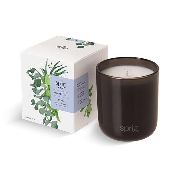 Sprig by Kohler Scented Candle, Breathe, 8 oz Online Sale