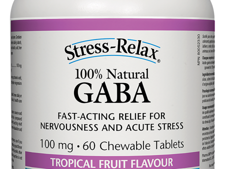 Natural Factors GABA 100 mg 60 Chewable Tablets on Sale