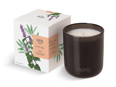 Sprig by Kohler Scented Candle, Focus, 8 oz For Discount