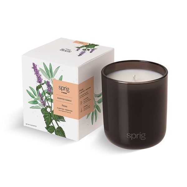 Sprig by Kohler Scented Candle, Focus, 8 oz For Discount