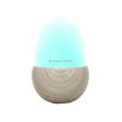 Bloomy Lotus Petite Acorn Ultrasonic Aroma Diffuser For Sale