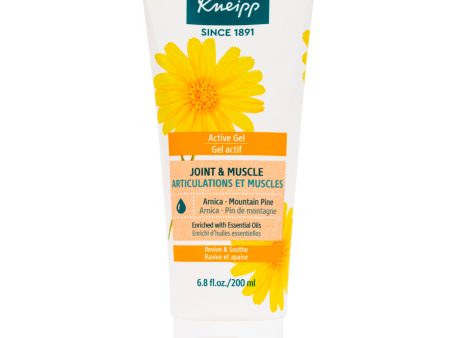 Kneipp Active Joint & Muscle Gel 6.76 Fl. Oz. For Discount