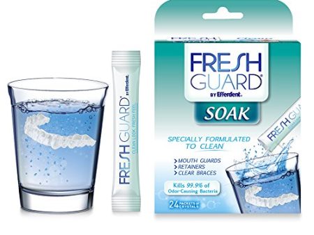 Efferdent Fresh Guard Soak Crystals - 1 ea Sale